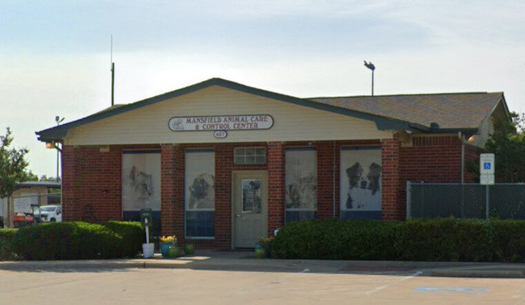 Mansfield-Animal_Care